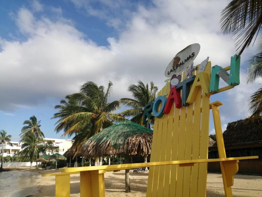 Las Palmas Beach Hotel Dixon Cove Exteriér fotografie