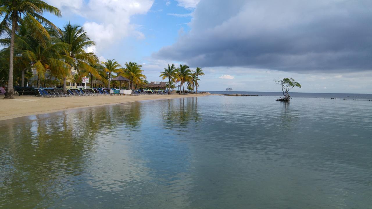 Las Palmas Beach Hotel Dixon Cove Exteriér fotografie