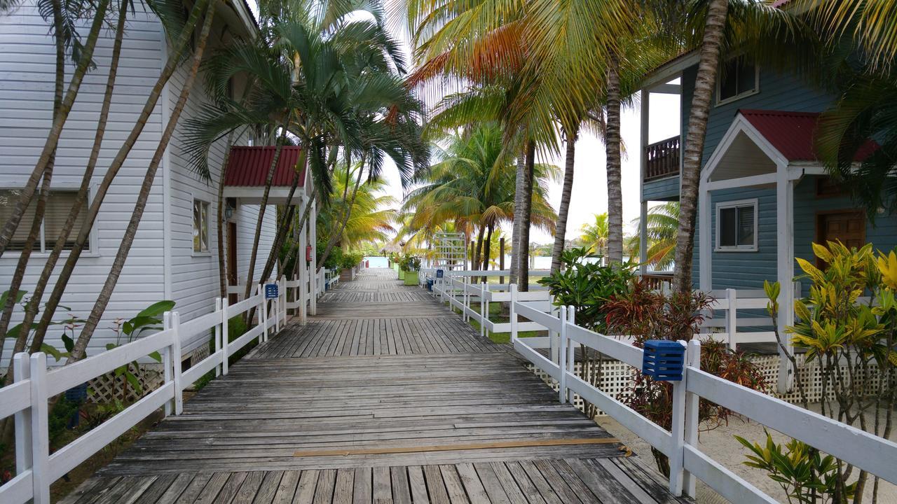 Las Palmas Beach Hotel Dixon Cove Exteriér fotografie