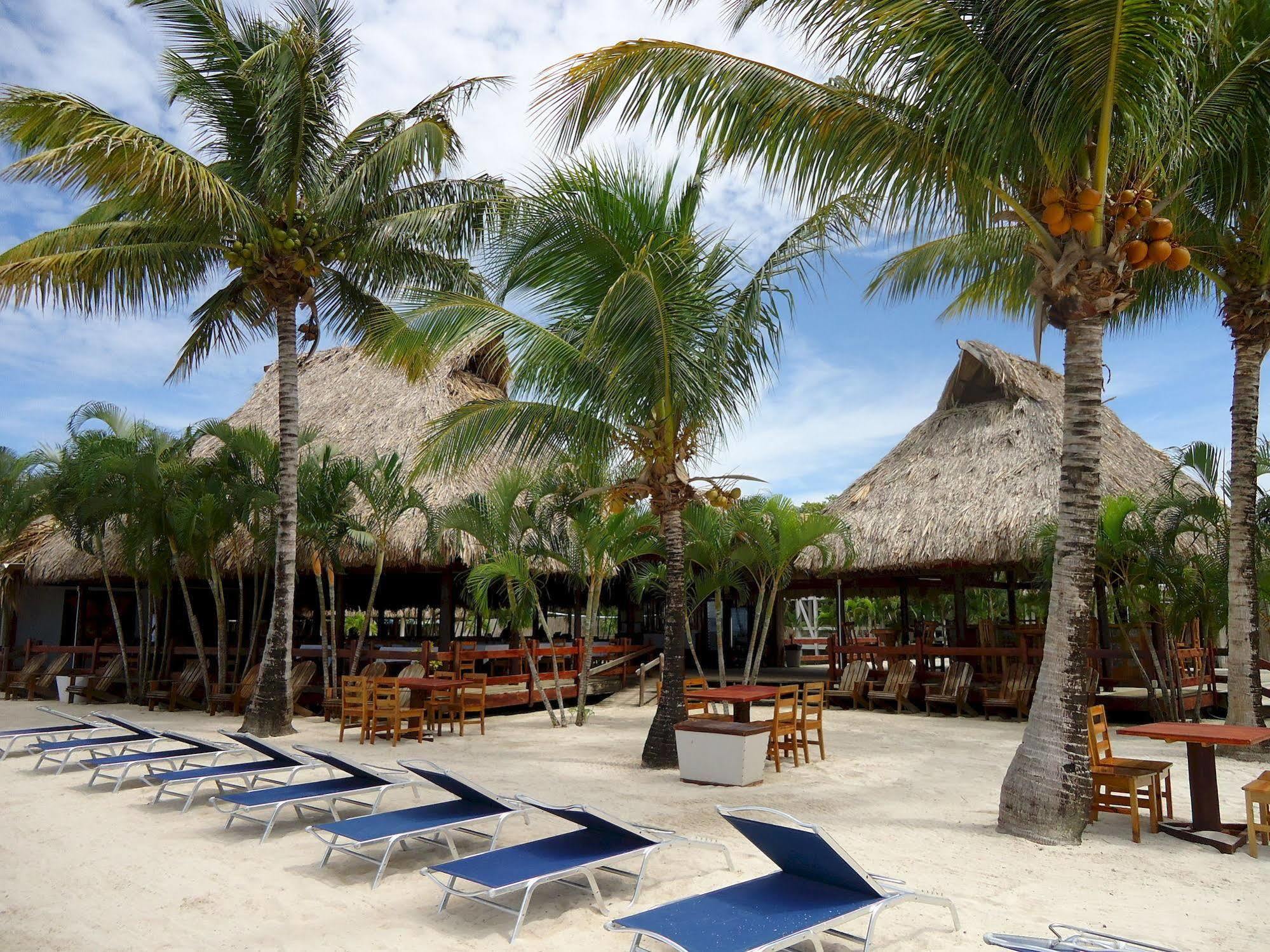 Las Palmas Beach Hotel Dixon Cove Exteriér fotografie